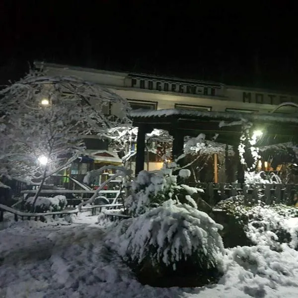 Podgorski An, hotel sa Kolešino