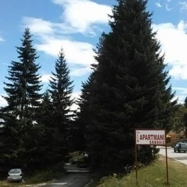 Apartments Grbović, hotel in Žabljak