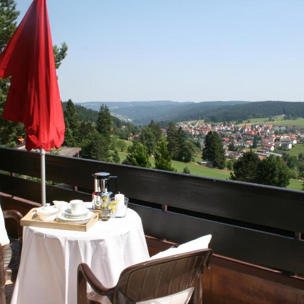 Schonachblick