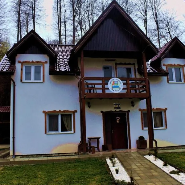 Casa Vanatorului Buzaiel, hotel i Vama Buzăului