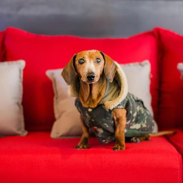 Viesnīca ibis Erechim pilsētā Erechim