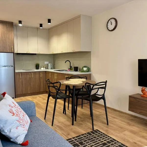 Duży Apartament w Centrum Radomia, hotel em Radom
