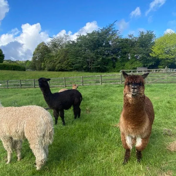 Alpaca Haven Farm, hotel sa Rotorua