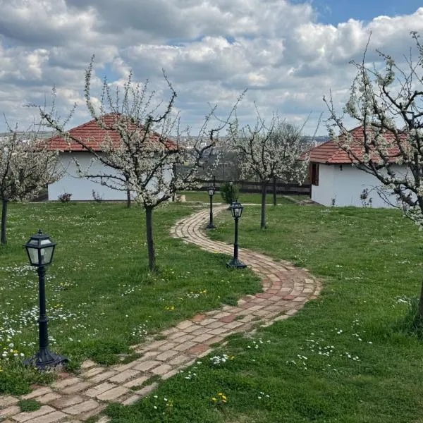 Apartmani Mladenovac, hotel a Mladenovac