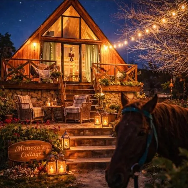 Tasia's Cottage, hotel i Tsalka