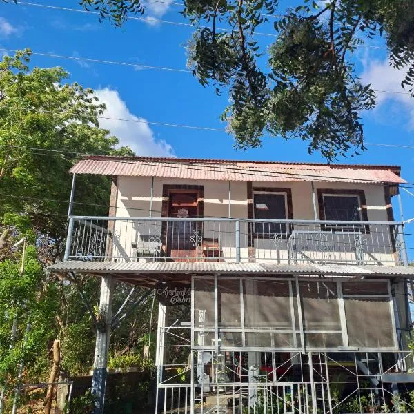 Beach cabin ometepe, viešbutis mieste Altagracia