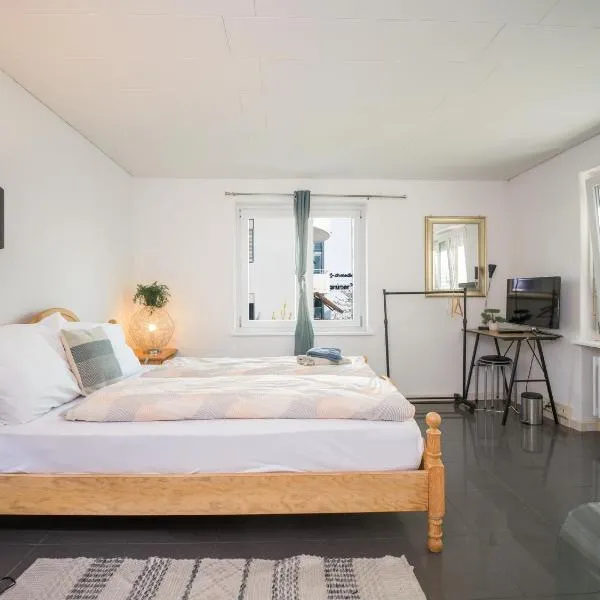 Zurich Rooms near Oerlikon and Airport, hótel í Zürich