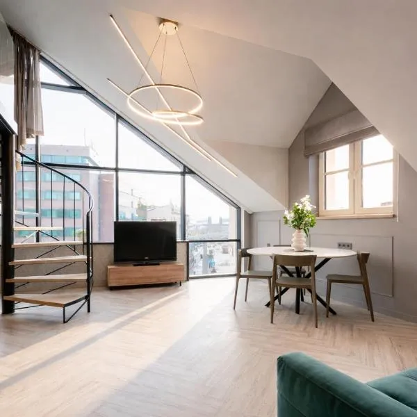City Frame Apartment, hotel i Vilnius