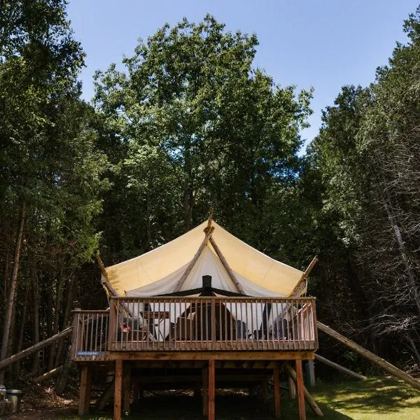 Whispering Springs Wilderness Retreat、Graftonのホテル