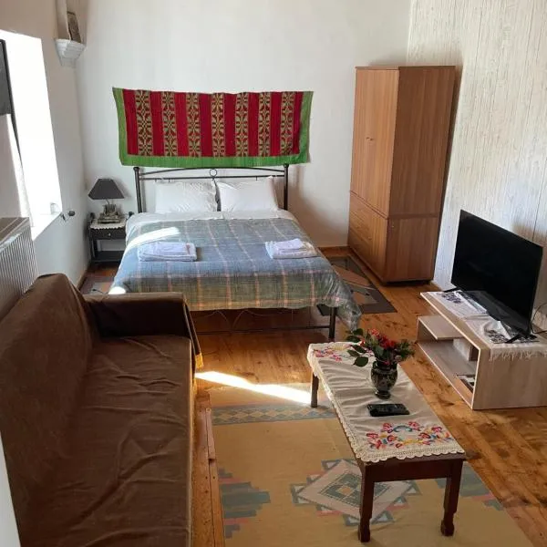 Ενοικιαζόμενη Κατοικία Γρηγόρης, hotel in Magoúliana