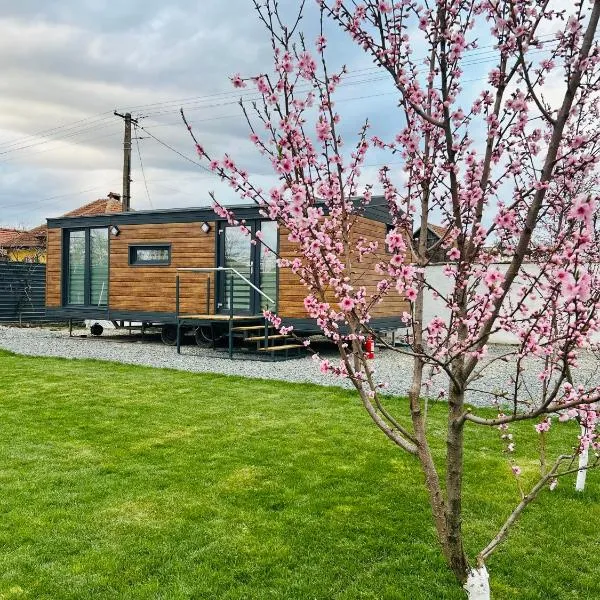Tiny House Doi Frați: Drăguş şehrinde bir otel