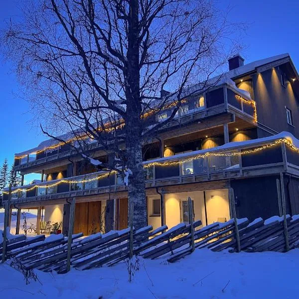 Haugetuft Apartments, Hotel in Åmot