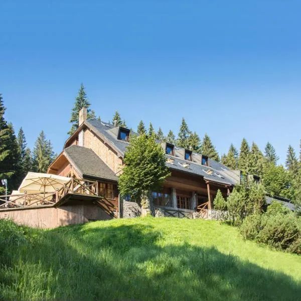 Horský hotel Vidly, hotell sihtkohas Karlova Studánka