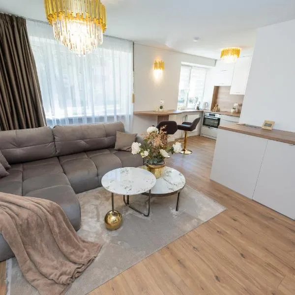Golden Luxury Apartment- Self Check-in, hotel i Panevėžys