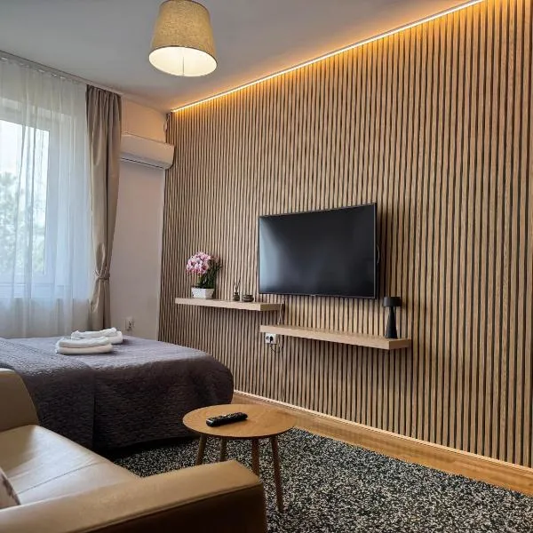 Bucharest Airport Stay & Fly, hotel u gradu 'Otopeni'