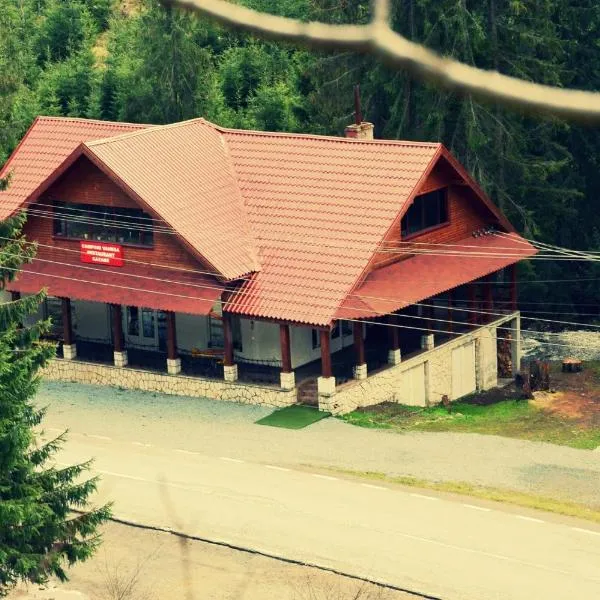 Vila Vanesa, hotel in Arieşeni