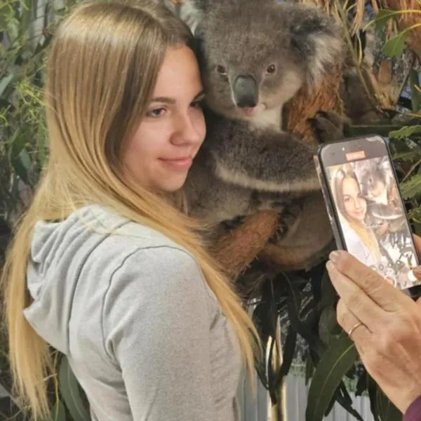 Fauna Australia Wildlife Experience, hotel a Lavers Hill