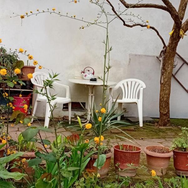 Enki's Garden, Tirana