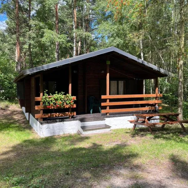 Leśnik Bungalow Stegna - domki letniskowe nad morzem: Stegna şehrinde bir otel