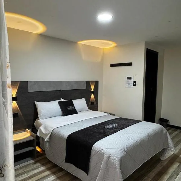 Hotel San Alejo,位于伊皮亚莱斯的酒店