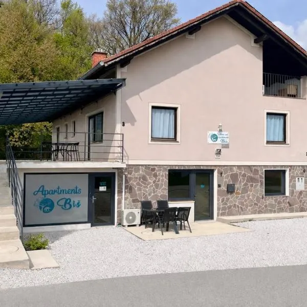 Rooms and apartments Biš, Hotel in Trnovska Vas