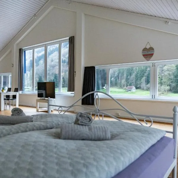 Muota River Loft & Muota Industry Apartment near Stoos, hotel Muotathalban