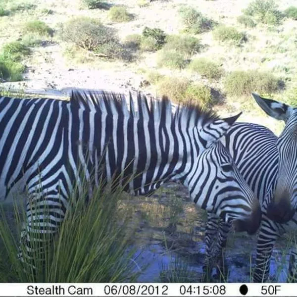 Achab Eco cabin, hotel v mestu Usakos