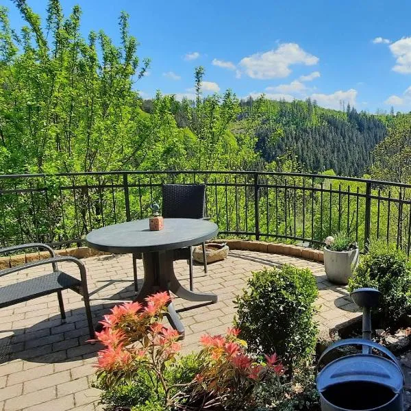 Ferienwohnung Voege am Waldrand, Hotel in Schmallenberg