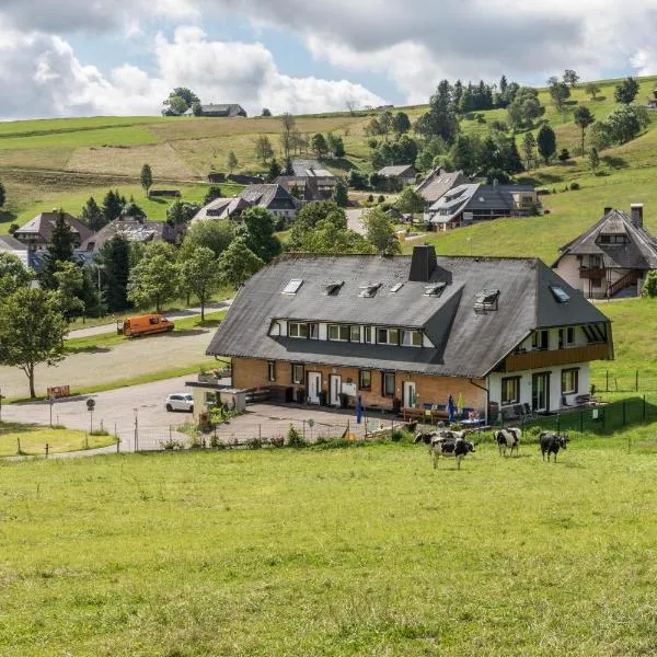 Sport Rees - Ferienwohnung Pia, Hotel in Hofsgrund