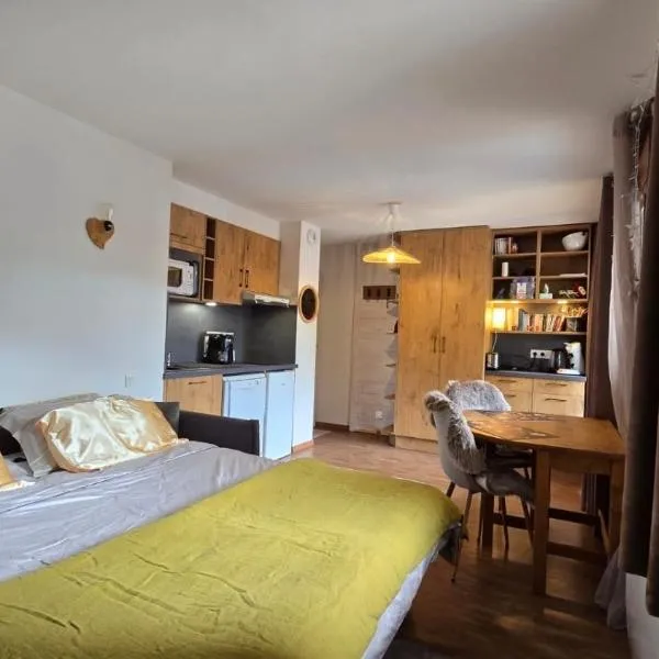 Studio Edelweiss proche Megeve, hotel a Flumet