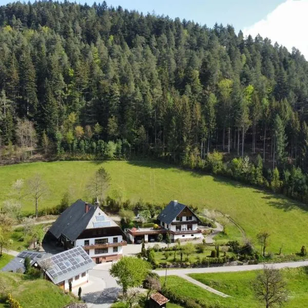 Waldbauernhof, Hotel in Hornberg