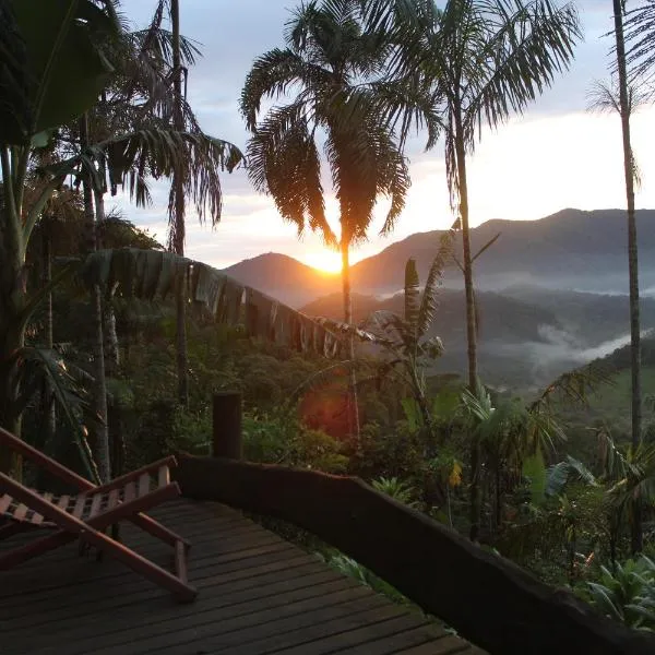 Eco Hostel Organic Life, Hotel in Trindade