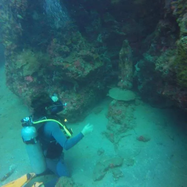 Anilao Scuba Dive Center (ASDC), hotel in Batangas City