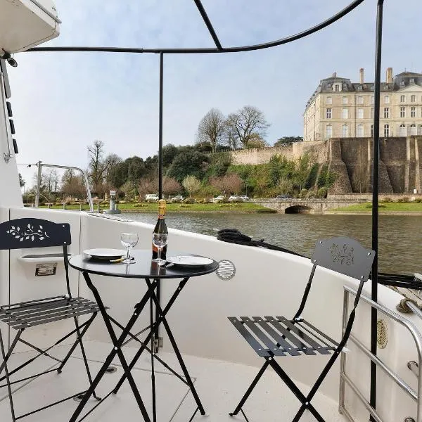 Bateau Elvis, hôtel à Sablé-sur-Sarthe