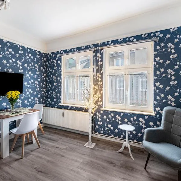 Studio zur »Alten Schmiede« – hotel w mieście Laage