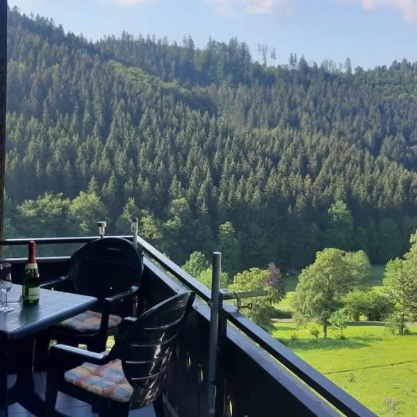 Ferienwohnung Nordenau, Hotel in Schmallenberg