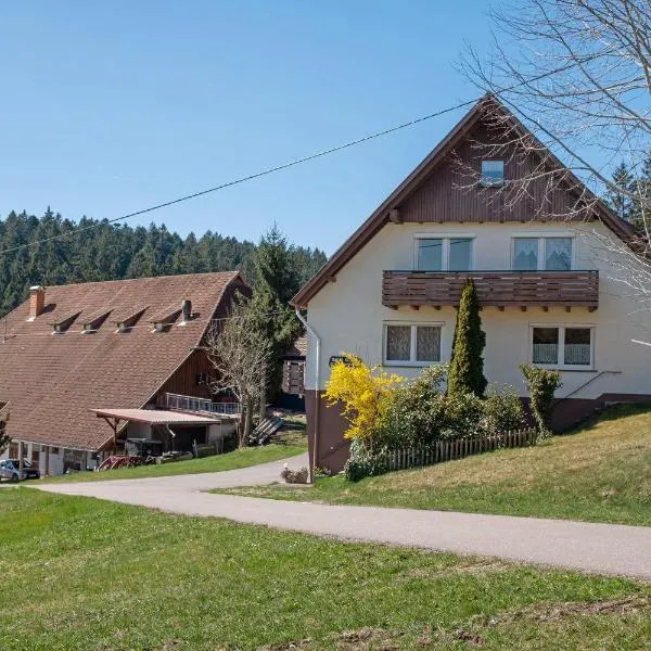 Unterfalkenhof, Hotel in Schramberg