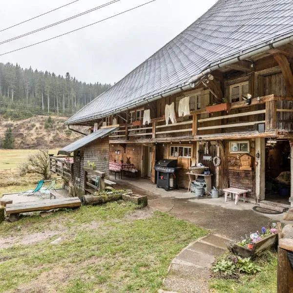 Schwörerhof, Hotel in Eisenbach (Hochschwarzwald)
