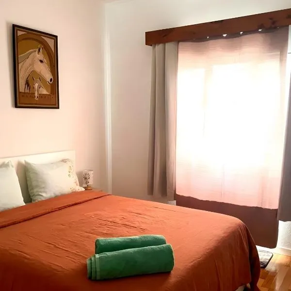 apartment near the airport, hotel di Ponta Delgada