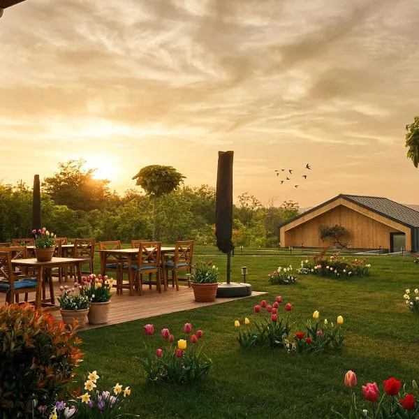 Zen Resort & SPA, hotel Purcari városában 