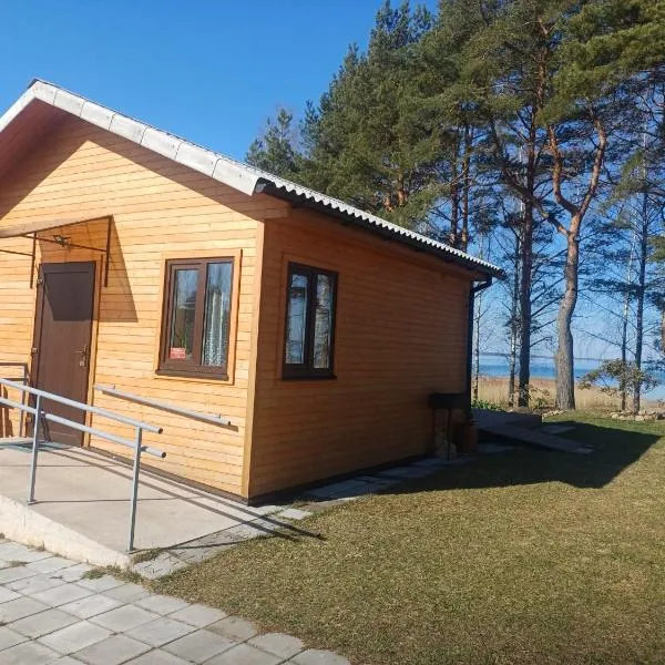 Rāznas ezera namiņš D1 ar elektrisko apkuri, hotel en Ragi