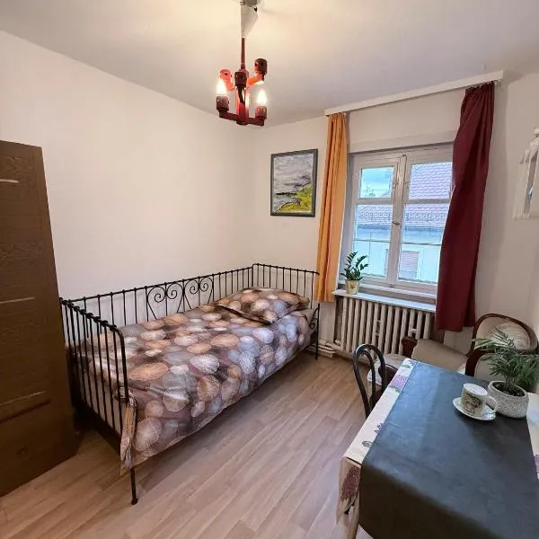 Nora Private Home on Neckar、ハイデルベルクのホテル