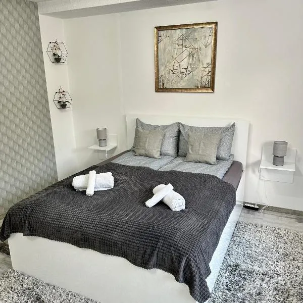NextSpace Nr 2, hotelli kohteessa Sfântu Gheorghe