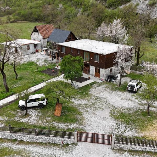 xhovani zelna, Shkodër