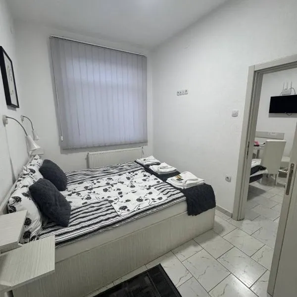Vila Cirkovic - 200m od mermernog setalista, hotel v destinaci Soko Banja