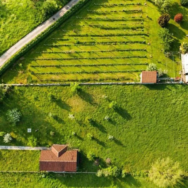 Green Little Cottage – hotel w mieście Danilovgrad