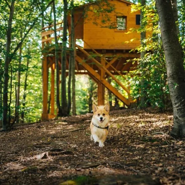 Treehouse Vtáčikovo, hotel en Kežmarok