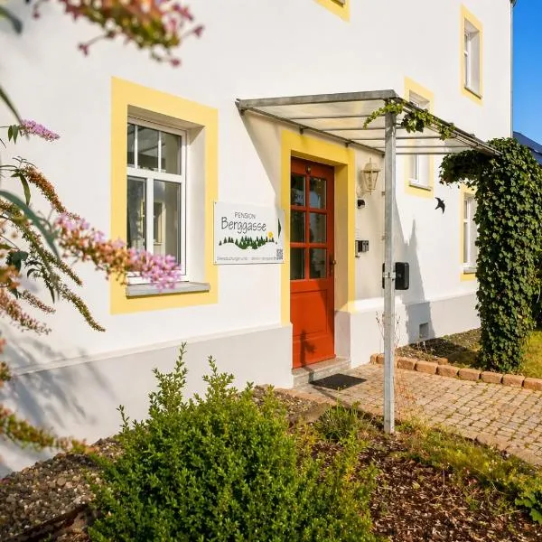 Pension Berggasse im Zentrum von Olbernhau, Hotel in Olbernhau