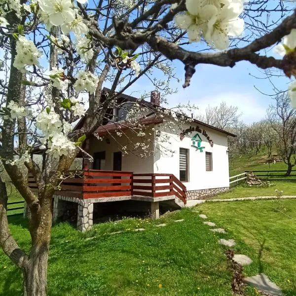 Căsuța din Livadă Schiulesti, готель у місті Schiuleşti