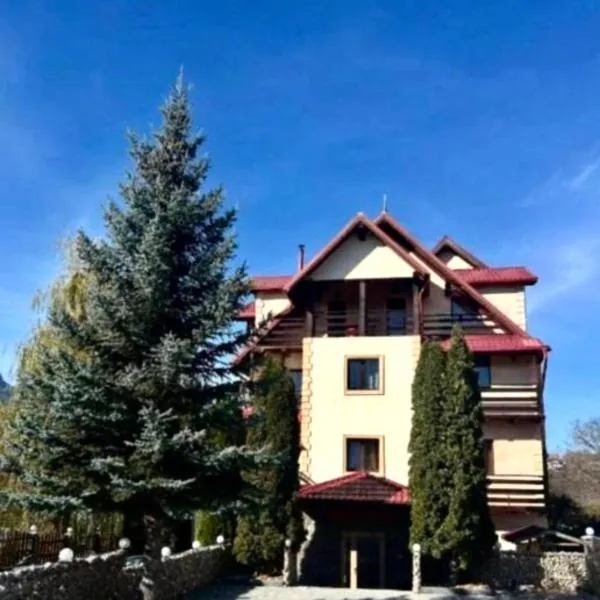Hotel Bran Dracula, hotel in Bran